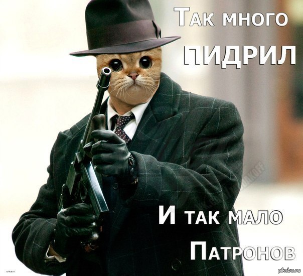      .   !))     http://pikabu.ru/story/_1328967