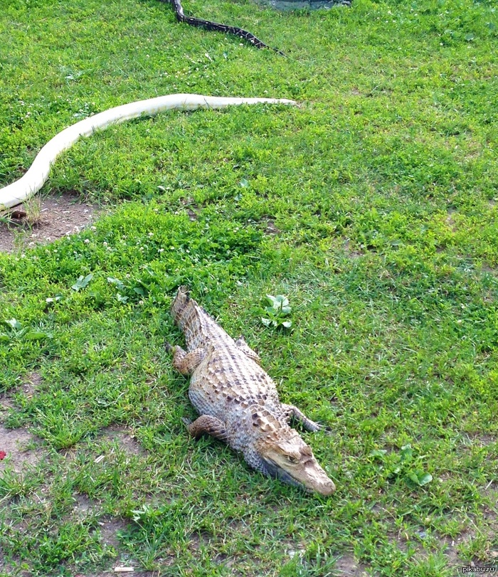 ������ ��� �� ����� � ����, ��� ��� �� ������