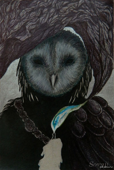 Dark owl  .    ~,     , 