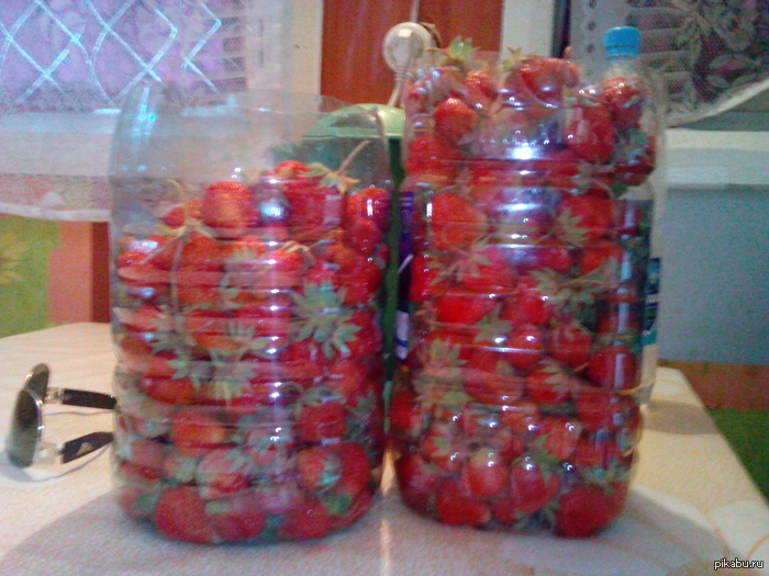 Gathered up ^__^ All the berries! =) - NSFW, My, My, Berries, Dacha, Strawberry, Strawberry (plant)
