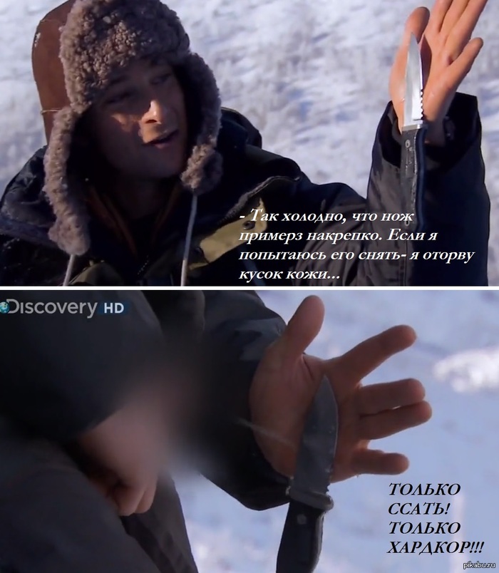 Беар знает толк