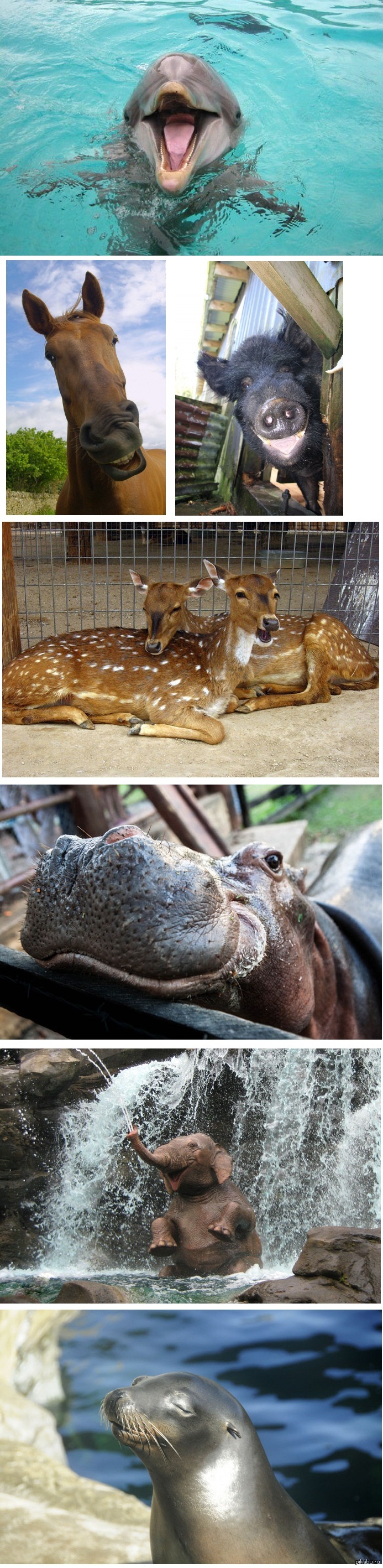 ���� ��������, ������� �� ����� �������� ������