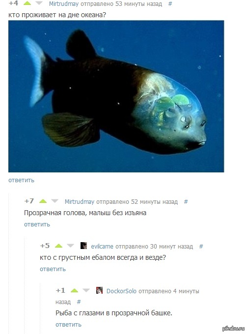 �� ���� ����, ��� ��� �������, �� ��� ������ ������� ��� ����...