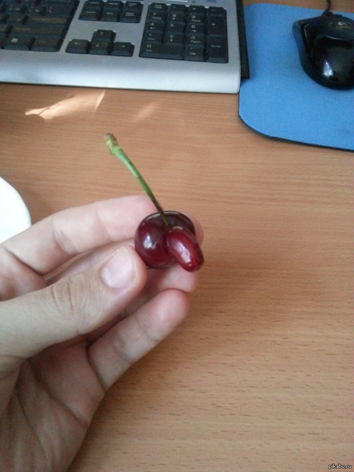 I found such a cherry today :) how do you like it? - My, Cherries, Nose, Mutant