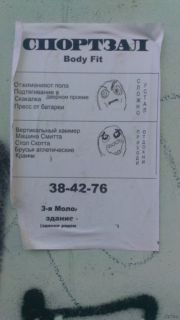 Все в спортзал!