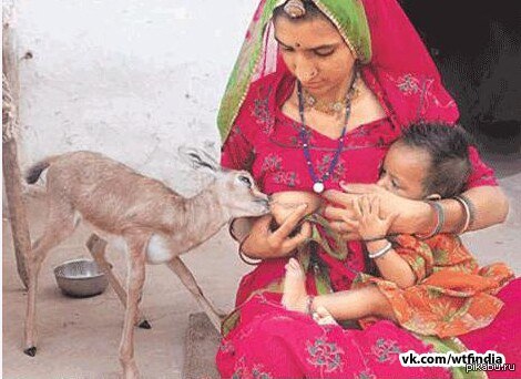 �� � ������ �� ���,���� ���������