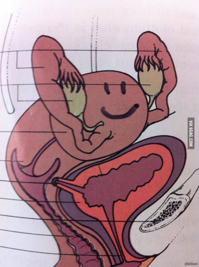 Открываю книгу, а там ЭТО!