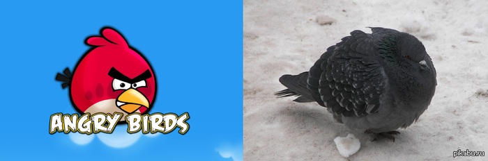 Angry Birds начало...