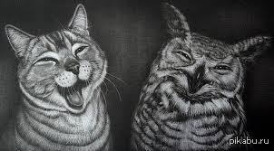 ������� ���� ������