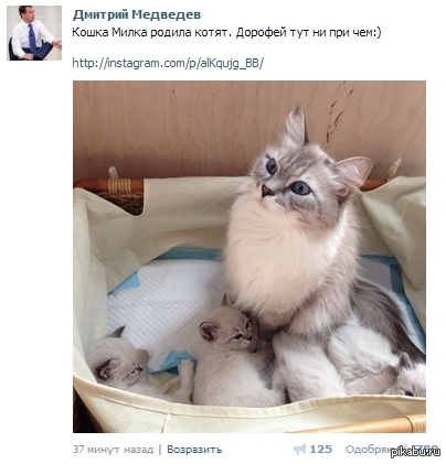 ��� ��� ��� � ��� ������������� ����������!