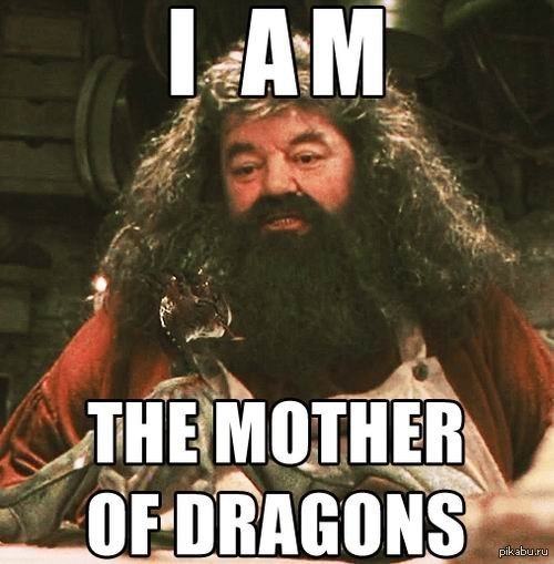 ���� ��������