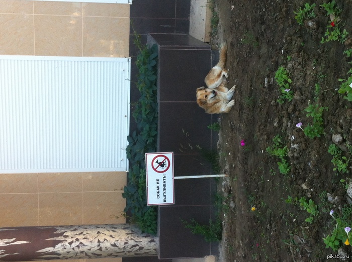 А ей пофигу!