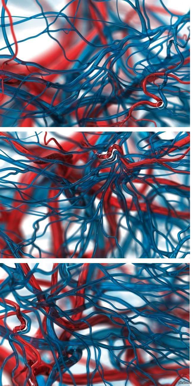 Угадаете что это?