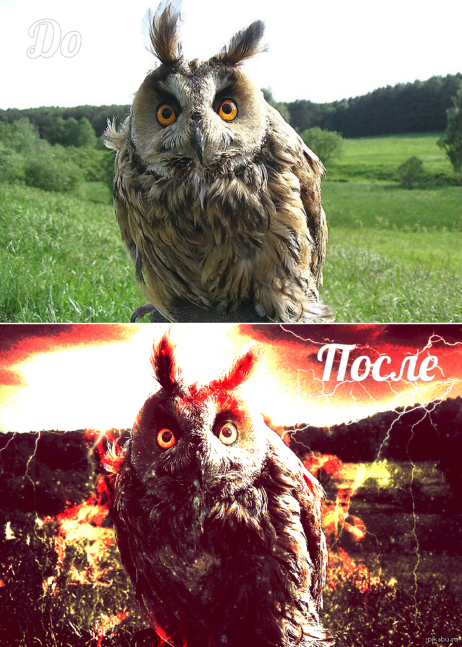 ������ ����-���� ���������� � ���������