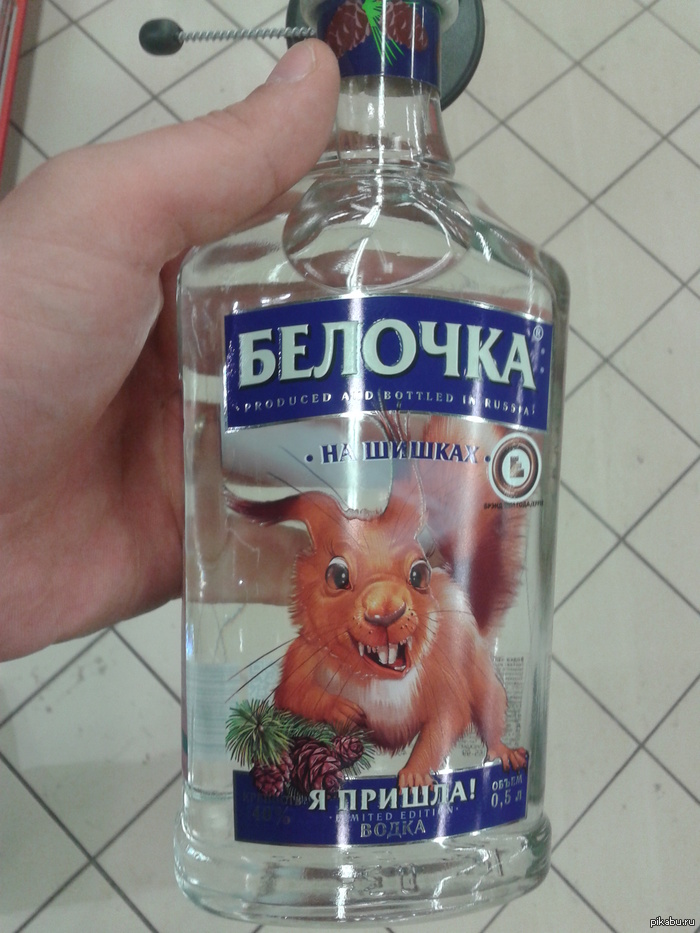 Белочка | Пикабу