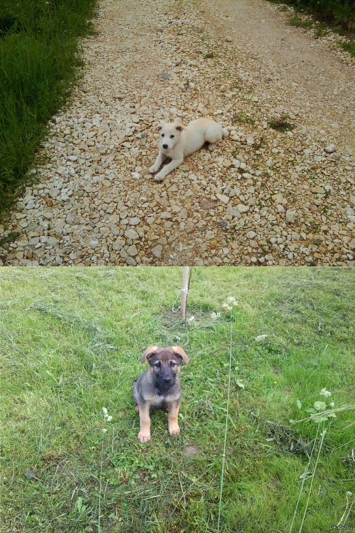 ��� ��� ����� �������, ��..