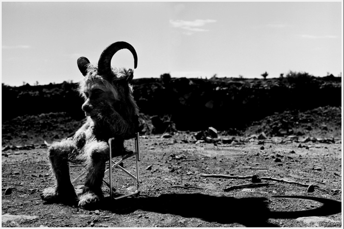 Баян | Пикабу