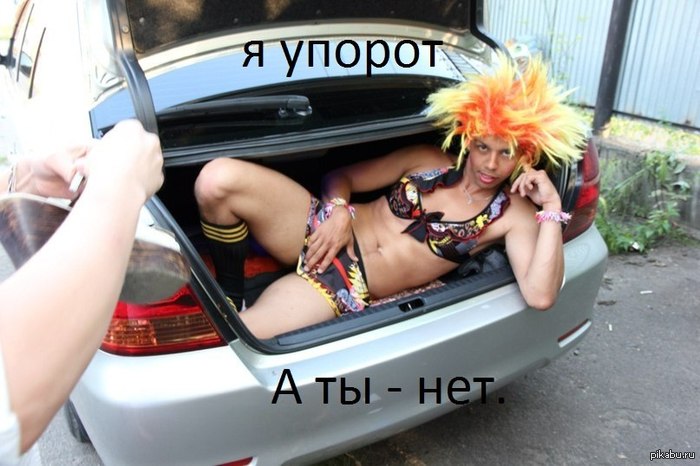 Упорот... - NSFW, Интересное, Упоротость