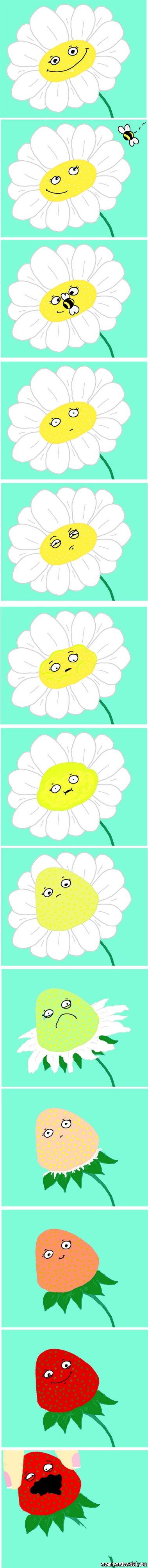 ��� ��� � ����������)