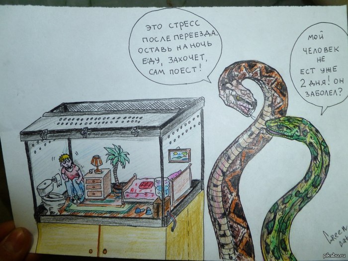 Параллельная вселенная