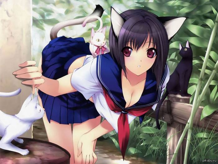 Neko - NSFW, Nyasha, Anime, Neko