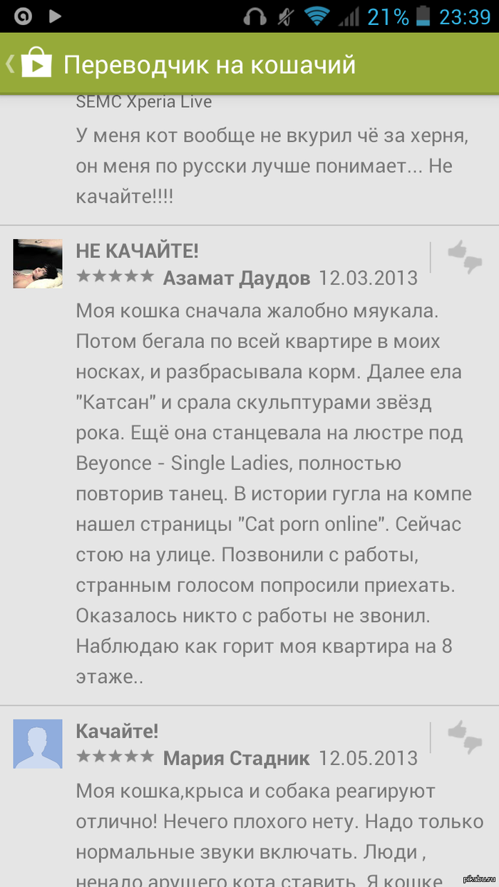 Google Play удивляет. "Переводчик с кошачьего"