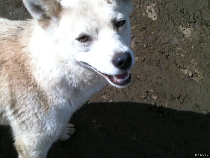 ��������, ������ ����?