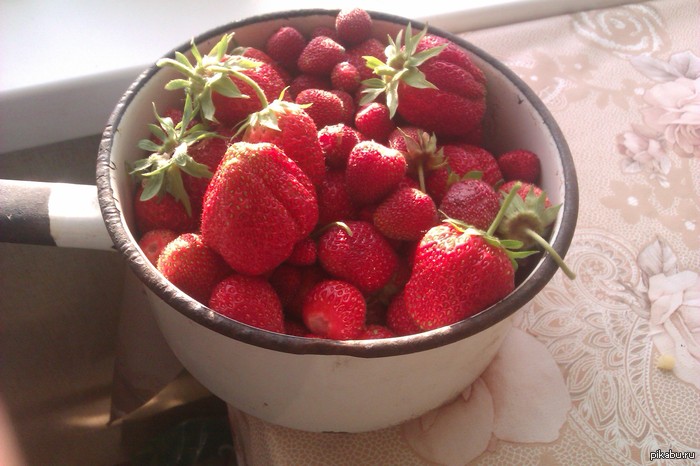 Summer and Strawberries everyone!!! - NSFW, My, Harvest, Strawberry, Strawberry (plant)