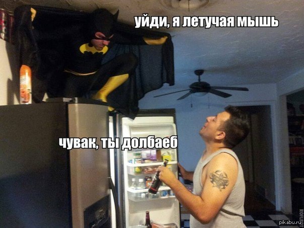 Летучая мышь... | Пикабу