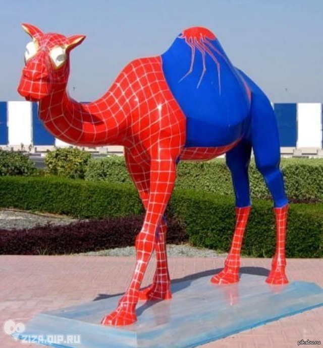 Верблюжий паук