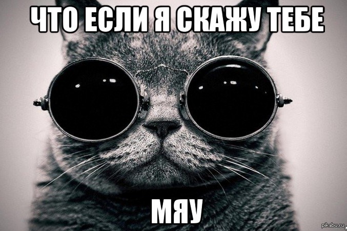   9gag  