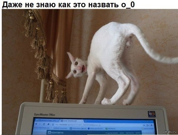 Даже не знаю как это назвать ...