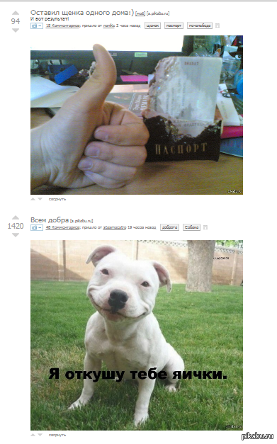 �������� ����������