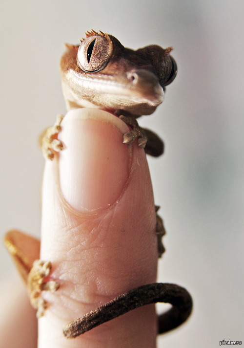 ��������� ������� :3