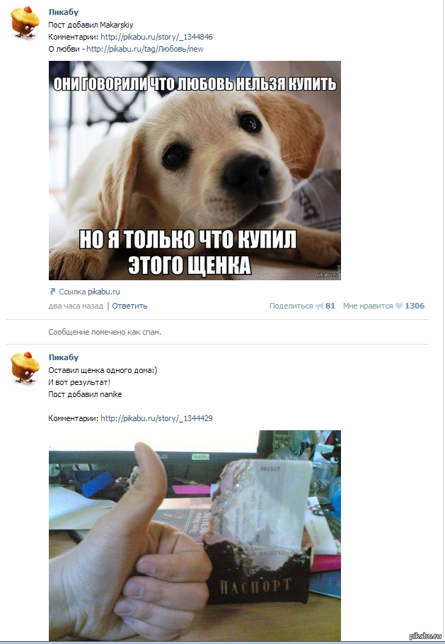 Купил любовь , восстановишь и паспорт )))