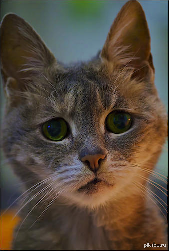 �������� ������ �� ���� 2