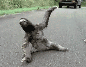 И так каждое утро...