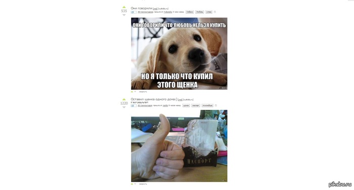 ����������.