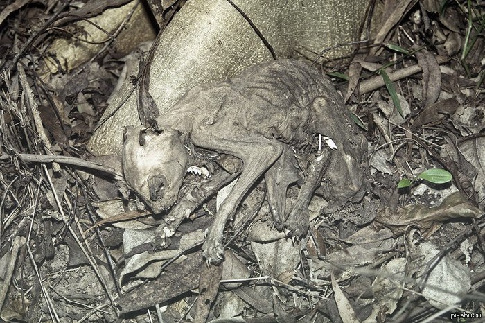 ��������� �� �� ���?