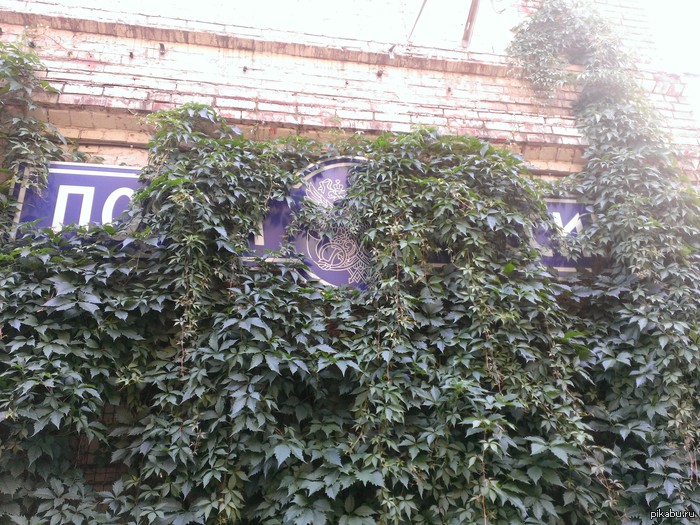 ��� ���� ����� ������