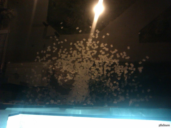 � � ��� ��� ������ ��������