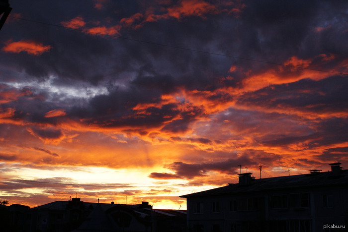 ��� ����