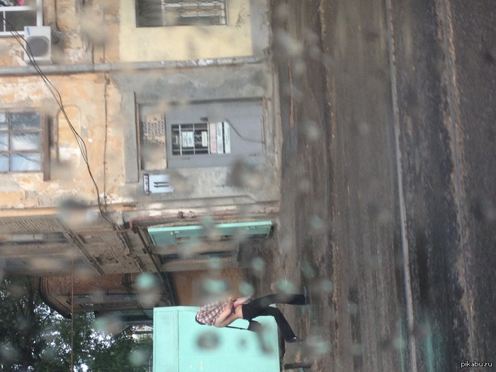 � ���� �����