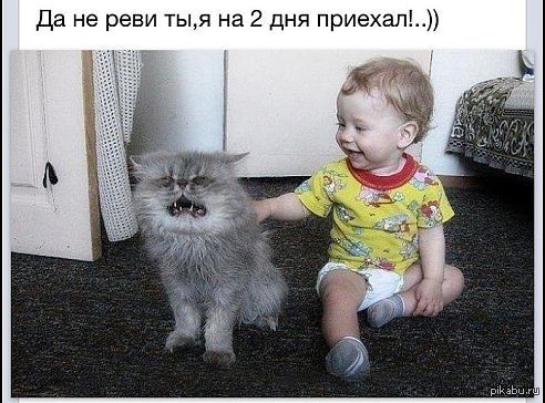 ������ ��������...
