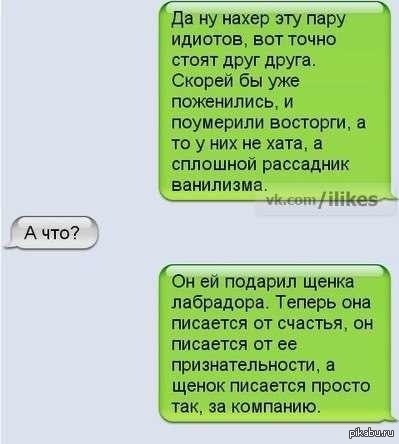 Стой точнее. Нахер любовь. Пара идиотов. Нахер эту любовь цитаты. Нахер комменты.