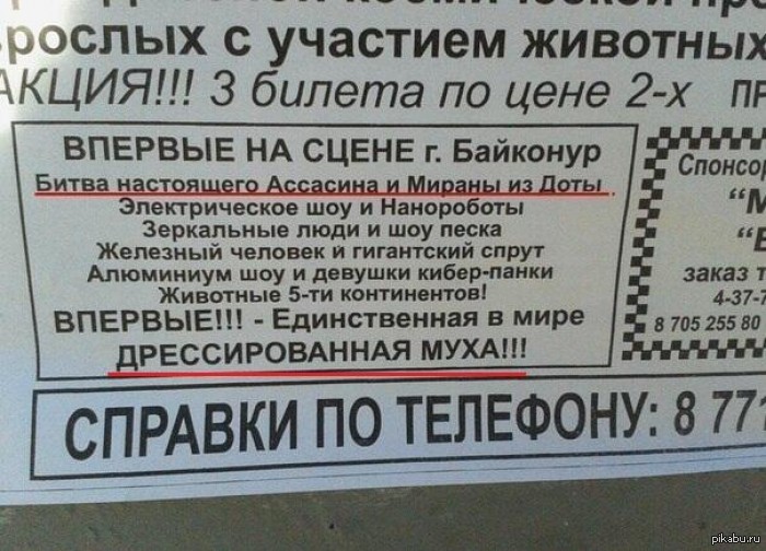 �.�������� ��������