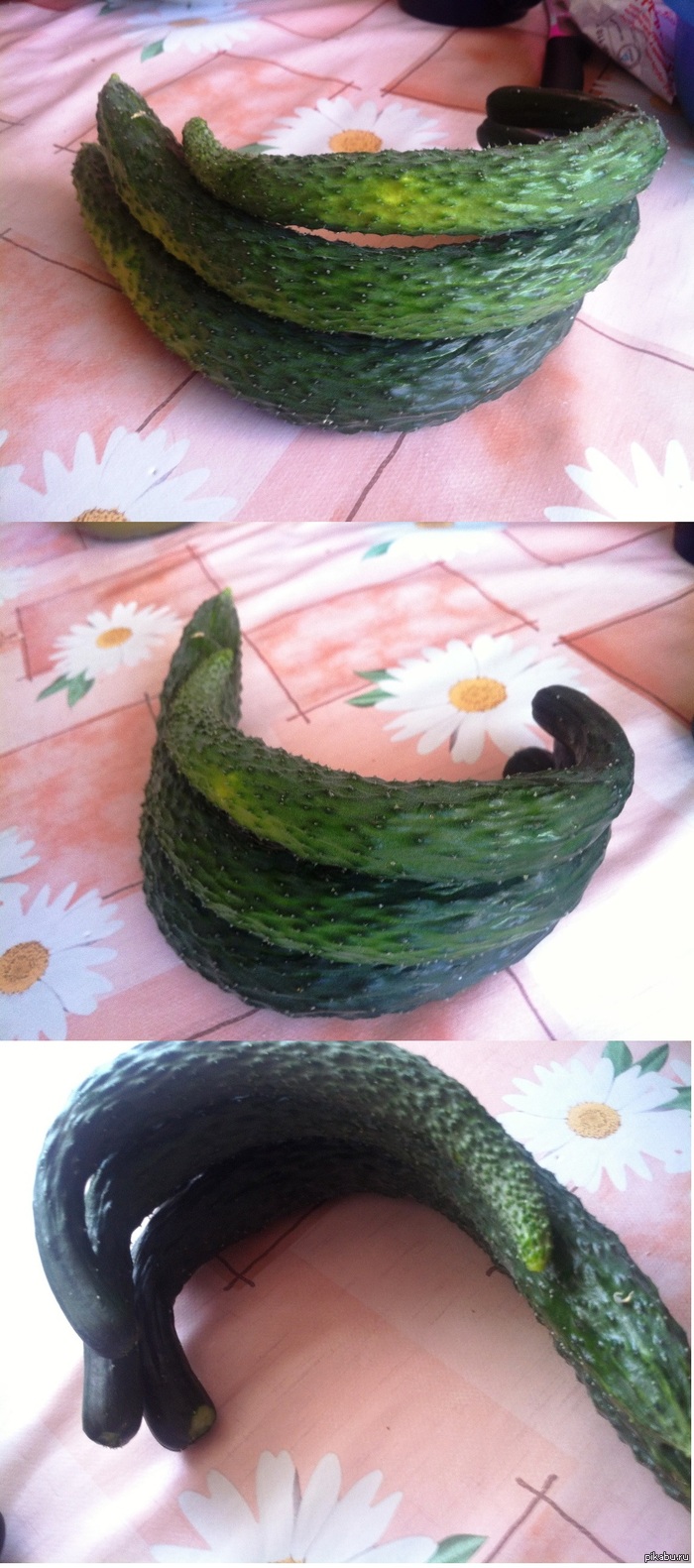 Banana-Cucumbers         .   ,   .    :-)