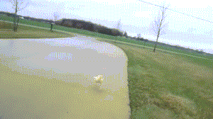 �����, ����� �������