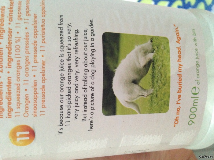 ���������� ���