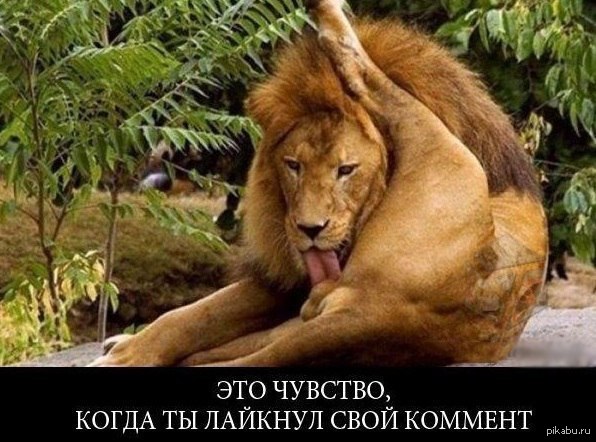 На сьогодні на коронавірус захворіли 1074 медпрацівники та 374 дитини, - Степанов - Цензор.НЕТ 5533